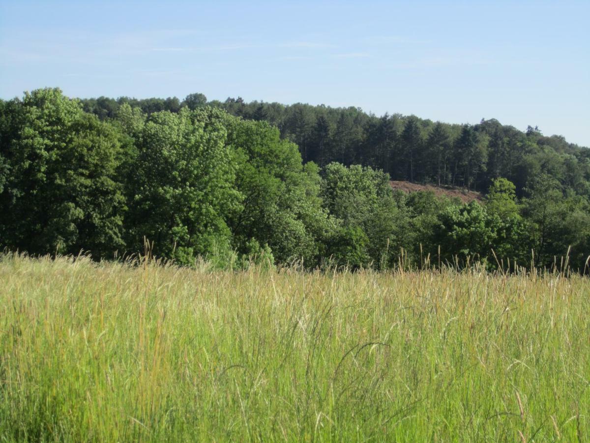 Ferienwohnung Erlenhof Engelskirchen Kültér fotó